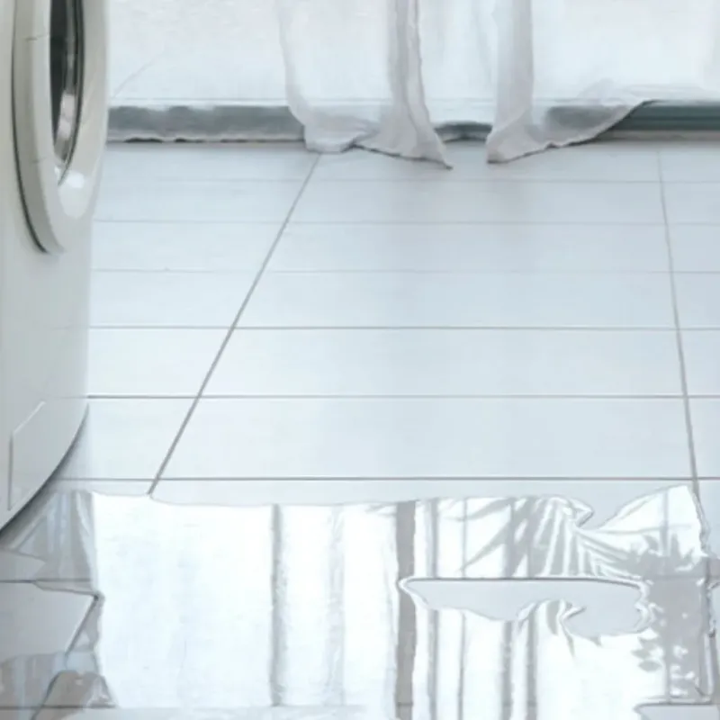 Appliance Leak Cleanup in Clifton, IL