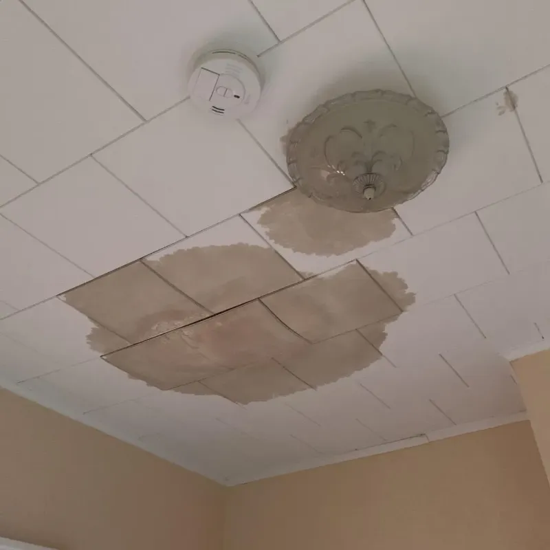 Ceiling Water Damage Repair in Clifton, IL